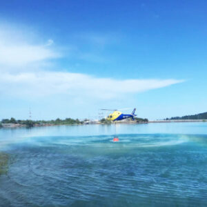 Director Técnico de Extinción. Nivel Básico (DTE-A)