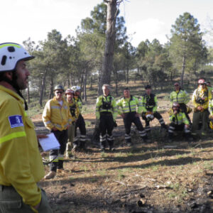 Director Técnico de Extinción. Nivel Intermedio (DTE-B)