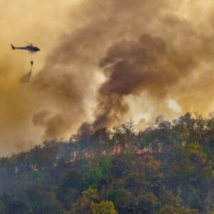 Director Técnico de Extinción. Nivel Intermedio (DTE-B)