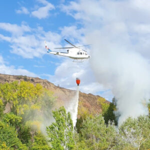 Director Técnico de Extinción. Nivel Superior (DTE-C)